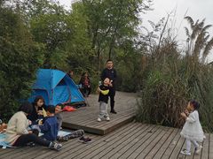 -桤木河湿地公园