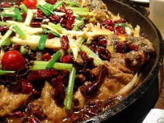 -老板恋上鱼(印象城店)