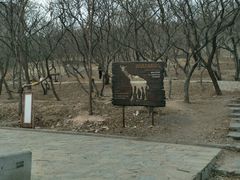 -水池山公园