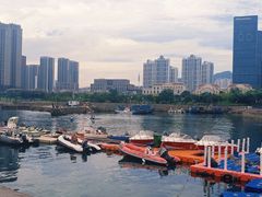 -海合安青岛极地海洋公园