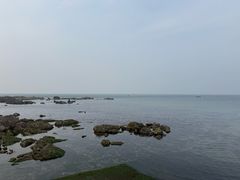 -海岛日记(养马岛店)