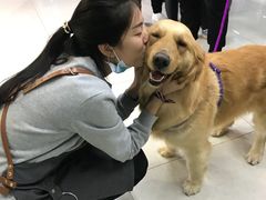 -米卢宠物公园(广华居店)