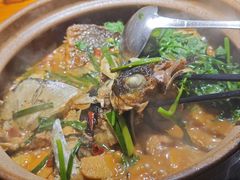 -九道菜有鸡鱼头(石鼓路店)