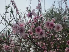 -上海市龙华烈士陵园