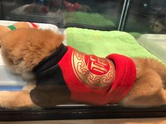 -宠物世家(仲盛世界商城店)