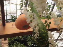 -兰陵国家农业公园