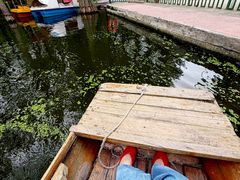 -渌洋湖湿地公园