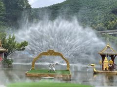 -西双版纳原始森林公园