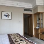 -南京维景国际大酒店(南京博物院店)