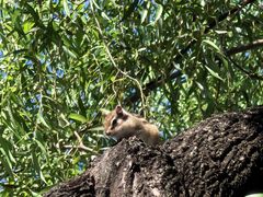 -长白岛森林公园