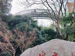 -梅峰山地公园