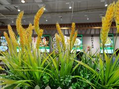 -紫光园(全国总店)
