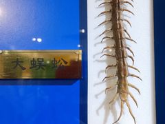 -上海昆虫博物馆