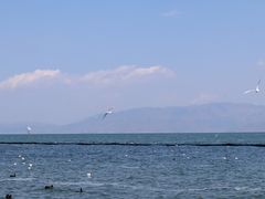 -大理洱海