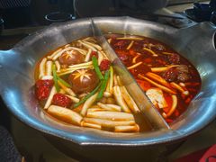 珍鲜菌菇鸳鸯锅-湊湊火锅·茶憩(南京东路悦荟店)