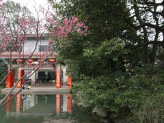 -中国茶叶博物馆(双峰馆区)