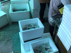 -安海长火土笋冻