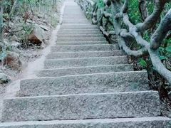 -梧桐山风景名胜区