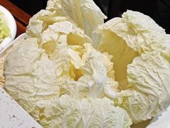 一颗白菜-鑫隆四季涮肉(八角畅游店)