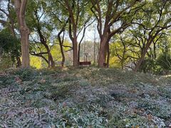 -徐家汇源景区-衡山公园