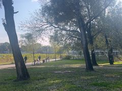 -长春市南湖公园