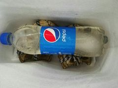-小陆莲花蟹园农家乐(莲花岛店)