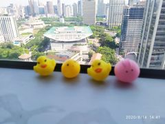 -新航道雅思托福·留学·考研培训(人民广场校区)