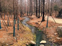 -白水寺森林公园