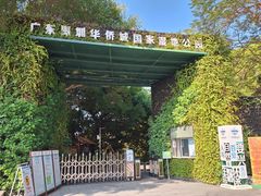 -华侨城湿地公园