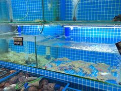 -老东镇啤酒屋海鲜加工·蒸汽海鲜·海鲜烧烤(台东店)