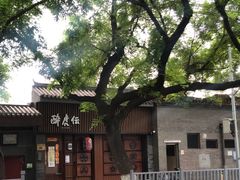 -醉虎传(南锣鼓巷店)