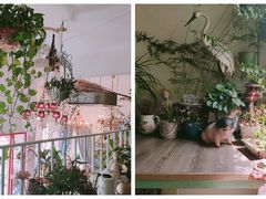 -Jo's Garden