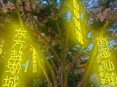 -茅山东方盐湖城景区