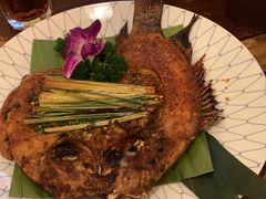 -紫滇源云南生态菜(丹凤街店)
