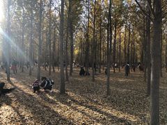 -汉景帝阳陵博物院