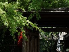 -新荣记(西溪湿地店)