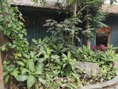-海南槟榔谷黎苗文化旅游区
