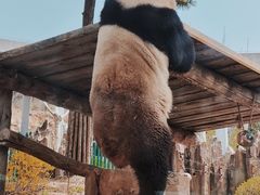 -大连森林动物园