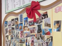 -顺强宠物诊所·狂犬免疫·夜诊·骨科(嘉定店)