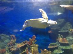 -泉州海丝野生动物世界