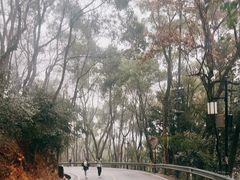 -岳麓山风景名胜区