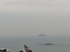 -SKY88观海庭