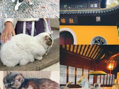 -西园戒幢律寺