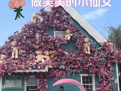 -荷兰花海