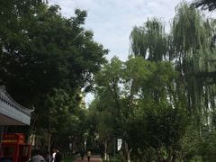 -金城公园