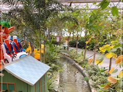 -南宫五洲植物乐园