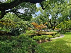 -申粤轩酒楼·三十年粤菜经典(丁香花园店)
