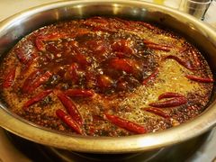 紅鍋-大龙火锅(老店)