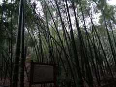 -杭州黄龙洞