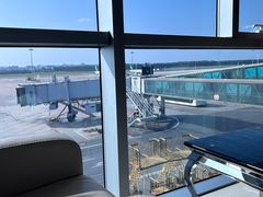 -桃仙机场头等舱休息室